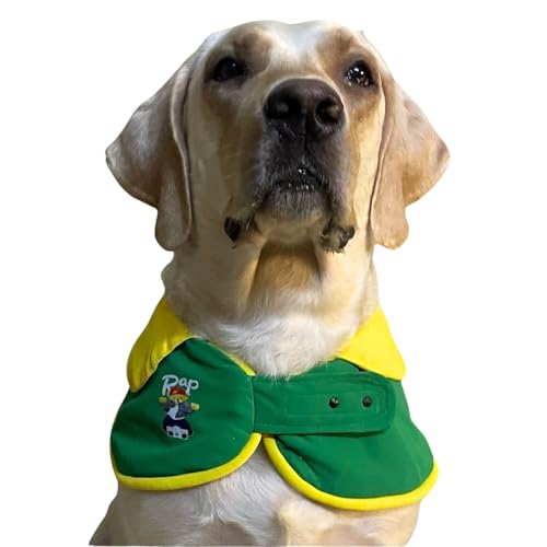 Lulala Pet Dog Cape Collar – Stylish Green & Yellow Neckwear with Rap Bear Print | Soft Hosiery Fabric, Velcro Closure | Comfortable & Cute Accessory for Medium & Large Dogs (Extra Large)
