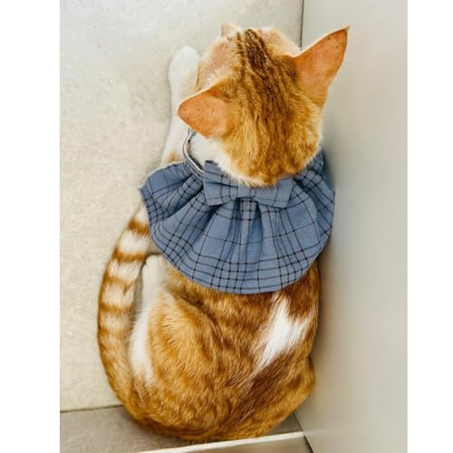 Lulala Stylish Blue Plaid Cat Bow Tie Collar – Adjustable Comfortable Pet Accessory for Cats and Kittens – Trendy and Soft Plaid Design for Fashionable Pet Clothing (Large)