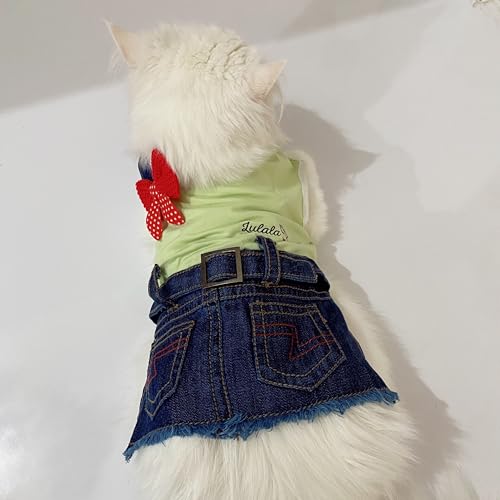 Lulala Pet Dress One Shoulder Autumn Pet Denim Jeans with Pocket-Pet Outfits Pet Pretty Off Shoulder Dress for Pets-Comfortable and Casual Pet Clothes(14 Inch,Sea Green)