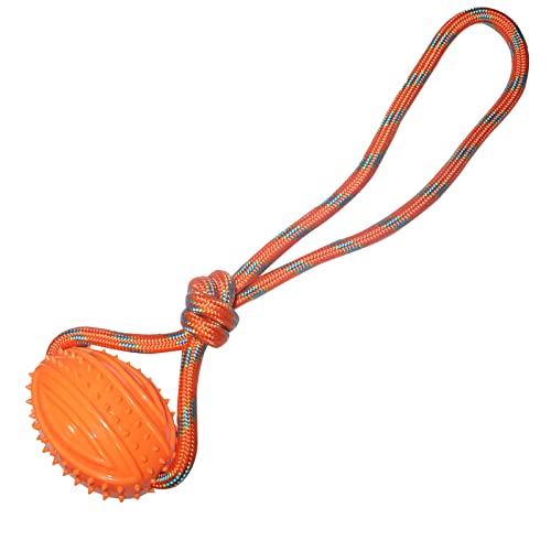 emily pets TPR Rubber Dog Toy – Rugby Spike Ball with Rope for Puppies & Small Breeds | Interactive, Tough, Fetch, Tug, Training & Chew Toy (Orange)