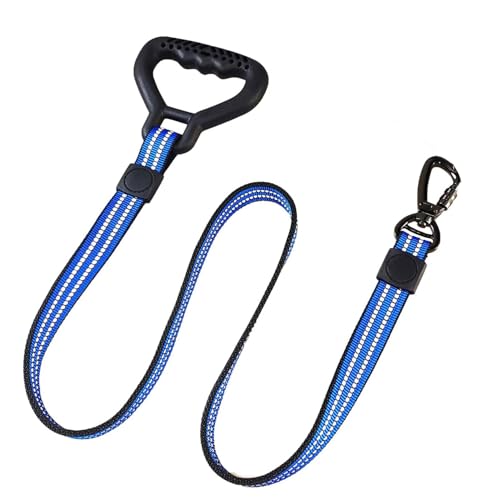 Emily Pets Dog Leash with Comfortable Padded Handle and Highly Reflective Rope Pet Leashes for Puppy, Small and Large Dogs Blue