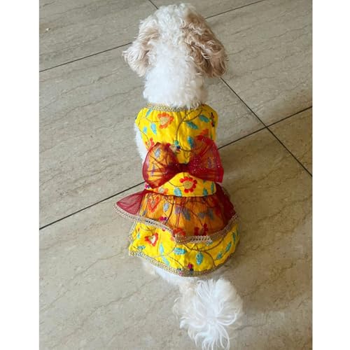 Lulala Traditional Floral Cat Dress, Yellow with Embroidered Flowers, Gold Lace Trim, Layered Design with Bow (14 Inch)