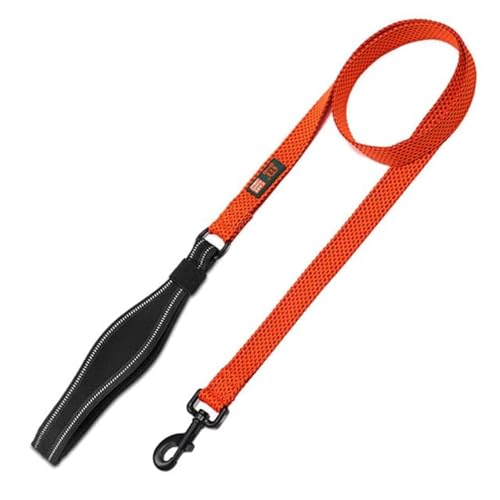 Emily Pets Nylon Dog Leash Durable Training Lead, Strong Padded Handle for Walking Running of Small Medium, Large Dogs (Orange, Small)