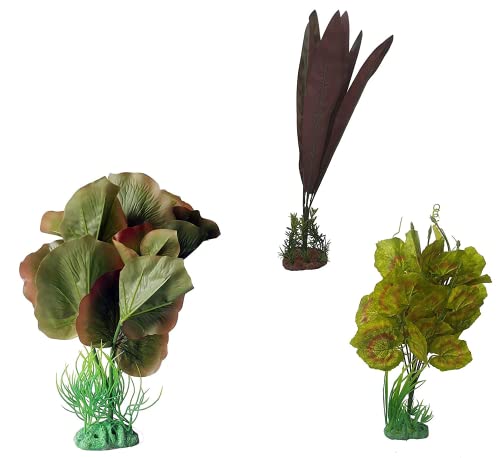 SRI Plastic Decorative Artificial Plant with Real Touch Foliage for Home Decoration (Combo)