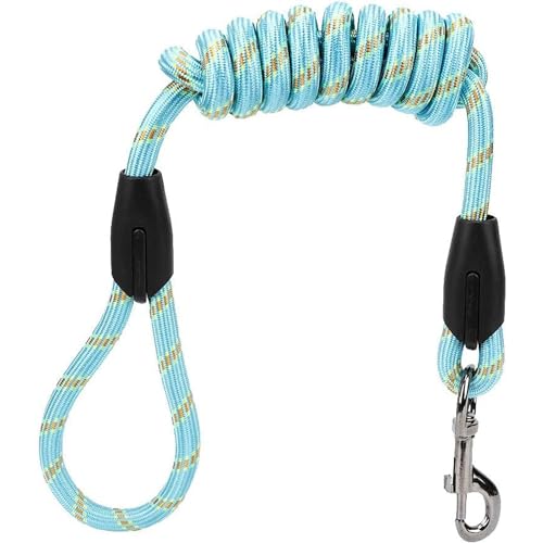 Emily Pets Dog Leash 4.42 FT Heavy Duty - Comfortable Handle - Dog Leash for Medium Large Dogs (Blue)