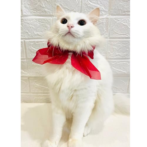 Lulala Adjustable Bow Tie Collar for Cats - Soft and Stylish Pet Neck Accessories for Kittens and Adult Cats