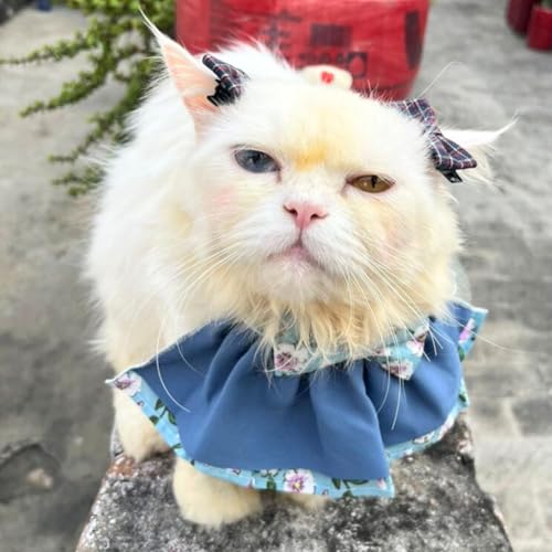 Lulala Floral Cat Collar with Bow – Adjustable Soft Fabric Pet Accessory for Cats & Kittens | Cute, Comfortable Outfit for Everyday Wear, Photoshoots & Special Occasions (Large)