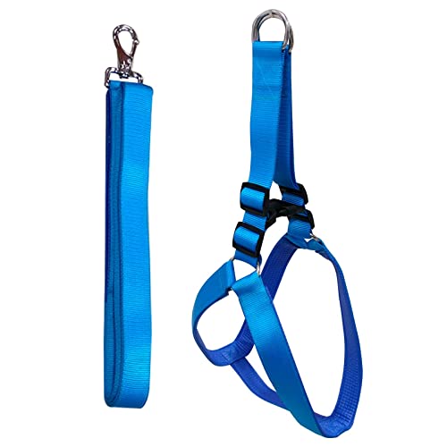 Emily Pets Dog Haness and Leash Set,Adjustable Nylon with Blue Padding Dog Training Dog Harness for Large Dogs no Pull, with Heavy Duty Dog Leash, Pet Set for Large Medium Small Dogs(Blue 32MM)
