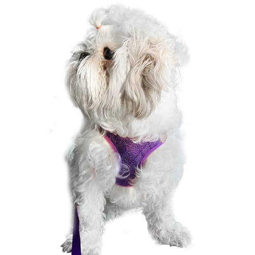 Lulala Puppy Vest Harness and Leash Set Comfort Fit, No Pull, No Choke, Vest Harness with Leash for Puppy and Small Pets (Purple-M)
