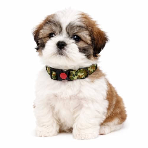 Emily Pets Adjustable Dog Collar - Special Design Patterns, Soft Nylon Comfortable Durable Pet Collar for Small Medium Large Dogs (Army Green)