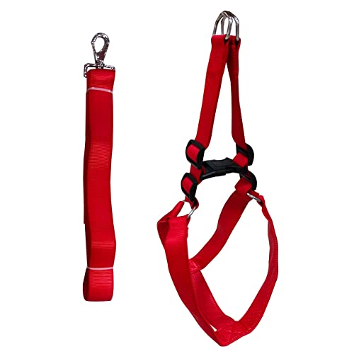 Emily Pets Dog Haness and Leash Set,Adjustable Nylon with Red Padding Dog Training Dog Harness for Large Dogs no Pull, with Heavy Duty Dog Leash, Pet Set for Large Medium Small Dogs(Red 37.5MM)