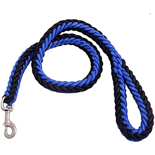 Emily Pets Woven Nylon Dog Leash Harness Set for Pet Dog Training Walking Lead Perfect for Medium Large Dogs with Stain Less Steel (Blue Black)