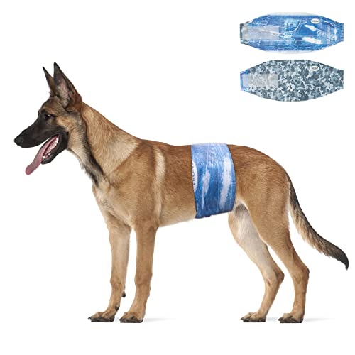 Dono Dog Diapers Male Disposable Male Dog Wraps, Wider Doggie Puppy Diapers, Male Belly Bands, Super Absorbent, Leak-Proof Fit, Excitable Urination, Incontinence, Large 48ct
