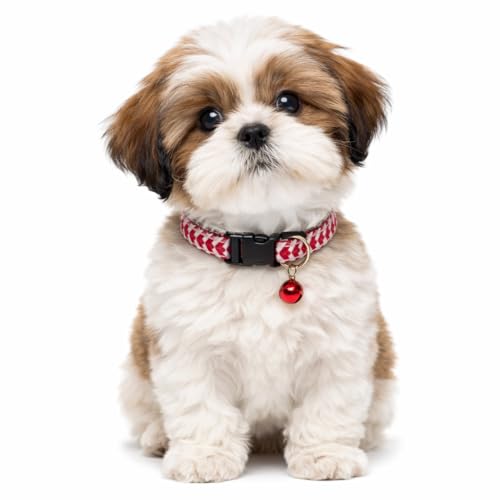 Emily Pets Cat Collar with Bells - Breakaway for Cats, Boy & Girl Cat Collars Kitten Collar with Bell - Break Away Collar for Cats - Breakaway Cat Collar (Color May Vary, 1 Piece)