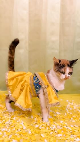 Lulala Traditional Indian Dog Dress for Festivals & Weddings | Sari-Style Ethnic Outfit for Dogs | Yellow & Blue Designer Pet Costume with Golden Border for Small to Large Breeds