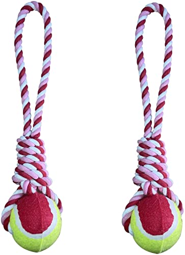 emily pets Dog Rope Toy with Ball, Indestructible Rope Dog Toys Tough Dog Toys for Aggressive Chewers Large Breed, Medium Dogs, Cotton Puppy Teething Chew Tug Toy (Pack of 2) Colour May Vary