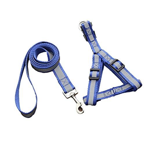 Emily Pets Nylon Strip Reflective Dog Harness Leash Lead Set with Stainless for Small Medium Dogs Puppy (Blue)