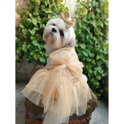 Lulala Dog Dress for Girls Dogs and Cats - Golden Glitter Party Gown with Tulle Skirt, Bow and Headband | Fancy Pet Dress for Weddings, Birthdays, Photoshoots and Special Occasions