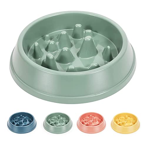 Emily Pets Durable Dog Slow Feeder Bowl Dog Food Bowl Slow Down Eating Speed and Increase Eating Time,Preventing Choking,Non-Slip and Easy to Clean(Green)