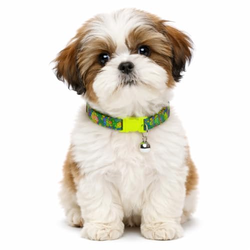 Emily Pets Cat Collar for Colorful Breakaway Cat Collars with Bell, Adjustable Printed Nylon woth Safety Buckles Kitten Collar (Color May Vsry, 1 Piece)