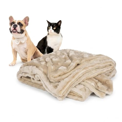 emily pets Luxury Soft Flannel Pet Blanket for Dogs & Cats, Premium Fleece Cozy Warm Throw Bed Cover for Puppy, Kitten & Small Pets, Washable Plush Blanket, Beige