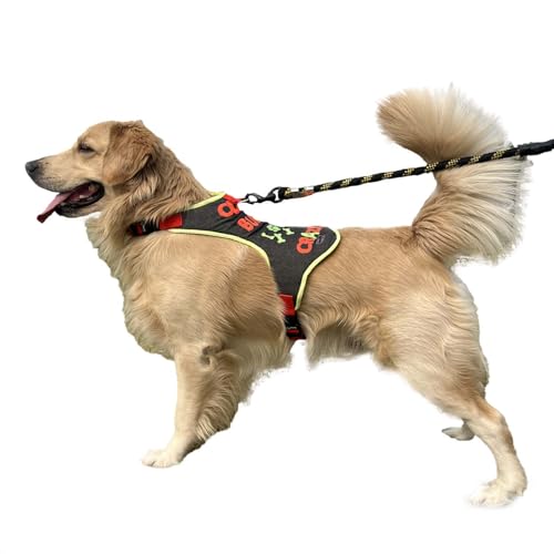 Lulala No-Pull Dog Harness-Adjustable- Padded Breathable Pet Vest with Crazy Pattern for Dogs (Medium)