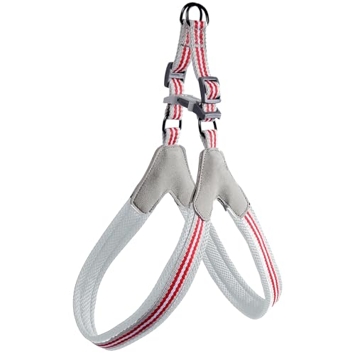 Emily Pets No Pull Dog Harness,No Choke and Step-in,Adjustable Belts Breathable Soft Mesh,Escape Proof No Rub Dog Harnesses for Small Medium Large Dogs (Red, M)