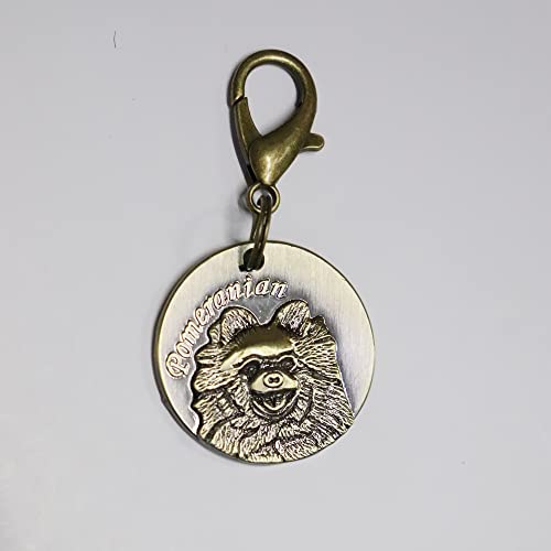 emily pets Brass Dog Collar Tag Cum Collar Charm for Dog & Puppy, Look Gold