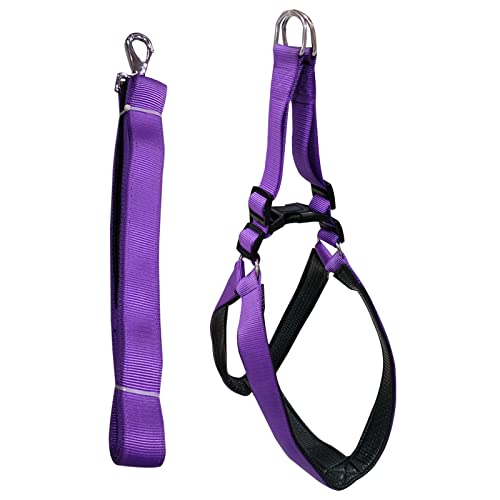Emily Pets Dog Haness and Leash Set,Adjustable Nylon with Black Padding Dog Training Dog Harness for Large Dogs no Pull, with Heavy Duty Dog Leash, Pet Set for Large Medium Small Dogs(Purple 37.5MM)