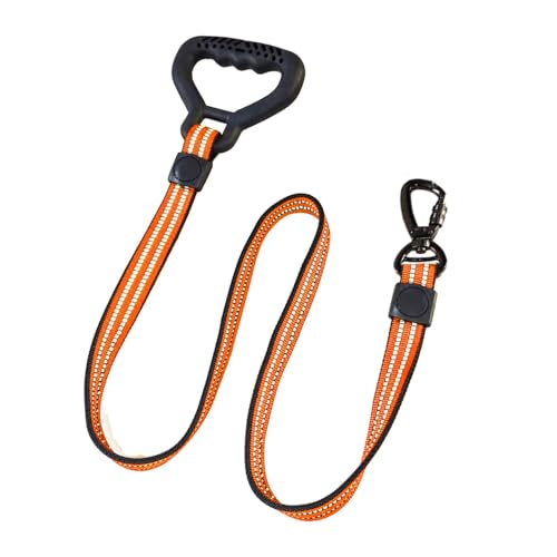 Emily Pets Dog Leash with Comfortable Padded Handle and Highly Reflective Rope Pet Leashes for Puppy, Small and Large Dogs Orange