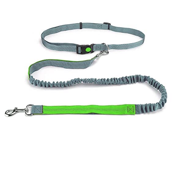 SRIPET Hands Free Dogs Leash with Adjustable and Reflective Belt, Retractable Leash for Dogs up to 150lbs (Green)