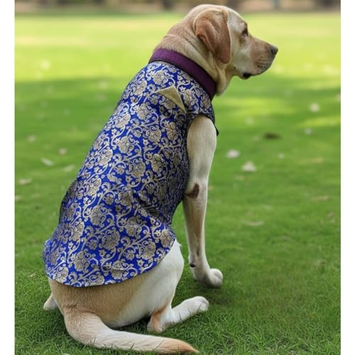 Lulala Traditional Dog Sherwani for Wedding & Festivals, Ethnic Indian Outfit for Pets, Designer Pet Costume with Embroidery & Velcro Closure, Small to Large Dogs (Blue 14 Inch)