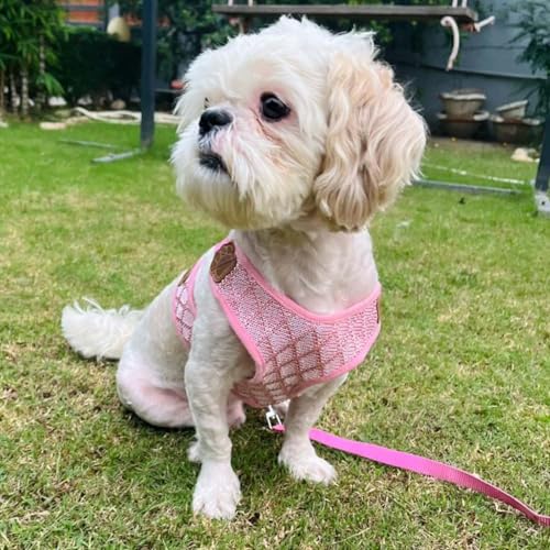 Lulala Puppy Vest Harness and Leash Set Comfort Fit, No Pull, No Choke, Vest Harness with Leash for Puppy and Small Pets (Pink-XL)