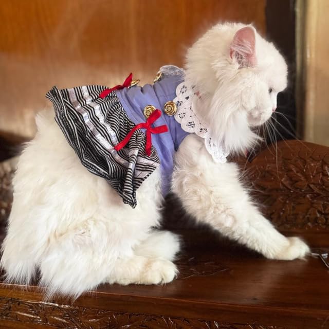 Lulala Pet Cloth Cute Pet Sundress Ribber Work Pet Princess Dress Puppy Summer Apparel Clothes Pet Skirt Shirt with Ruffles lace on Collar for Small Pets (10 Inch,Light Blue)