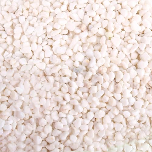 Cature Care by Nature White Polished Gravel Stones for Fish Tank Fillers, Assorted Crushed Stone Pieces for Vases Fillers Plants Home Decor Pebble Stones (9.9kg)(0.4-0.6Cm)
