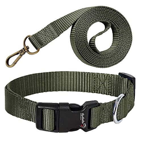 Lulala Nylon Dog Collar and Leash Set, Adjustable Collar Leash Set with Quick Release Buckle Safety for Small Medium Dogs Walking Running Training 15MM(Olive Color)