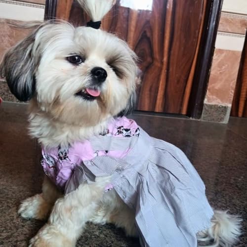 Lulala Pet Dress Summer Pet Dress Soft Pet Princess Dress Pet Hawaiian Pet Frock Suit Summer Pet Clothes Pet Shirt Skirt Striped Printed T Shirts for Pets(8 Inch,Pink)