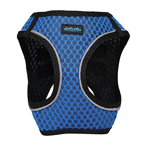 SRIPET Pets Dog Harness - All Weather Mesh, Step in Adjustable Harness for Small and Medium Dogs (Large, Blue)