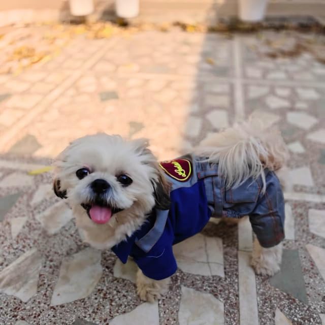 Lulala Pets Denim Stripe Jumpsuit Dog Clothes Cute Puppy Jeans Pet Dress Cold Weather Coat Puppy Vest-Pet Jumpsuit for Small Dogs (Grey-Blue,8 Inch)