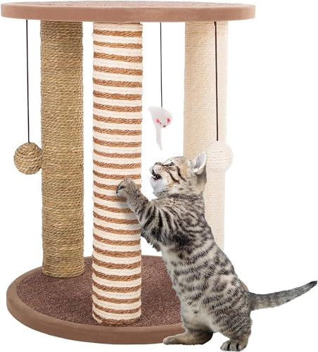 Emily Pets Cat Scratching Post with Sleeping Area for Cats - Sturdy Scratching Post for Cats Small Cats Scratching Furniture Scratching Post with Lounger and Toy Scratching Post for Cat Scratcher Toy