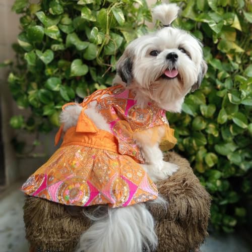 Lulala Traditional Ethnic Dog Dress with Dori – Festive Lehenga Choli Outfit for Female Dogs – Wedding, Party, Diwali Pet Costume (Orange- 24Inch)