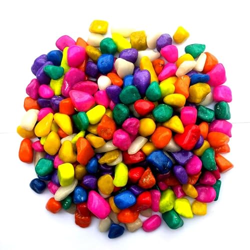 Cature Care by Nature Decorative Rocks, Aquarium Stones, Bonsai Gritty Mix Rocks for Succulent Cactus, Top Dressing, Garden & Plants, Fish Tank, Landscaping, Home Décor (9.9kg) (Multi Color)