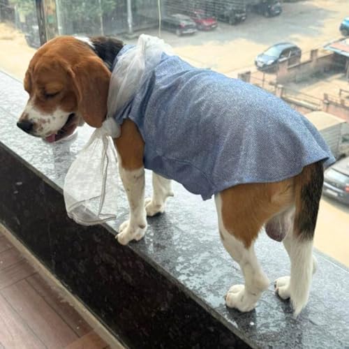 Lulala Ethnic Dog Dress for Small & Medium Breeds – Blue Festive Pet Outfit with Net Dupatta – Traditional Indian Style Dog Clothing