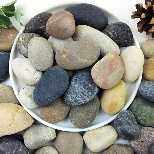 Emily Pets Aquarium Rocks Stones, 4/6 Natural River Rocks for Plants Decorative Polished Mixed Pebbles for Fish Tank, Landscaping, Gardening, Flower Pots, Vase Fillers, Indoor Water Fountains (10KG)