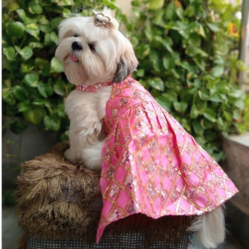 Lulala Ethnic Dress for Dogs | Stylish Festive & Wedding Outfit for All Breeds | Comfortable Traditional Pet Wear