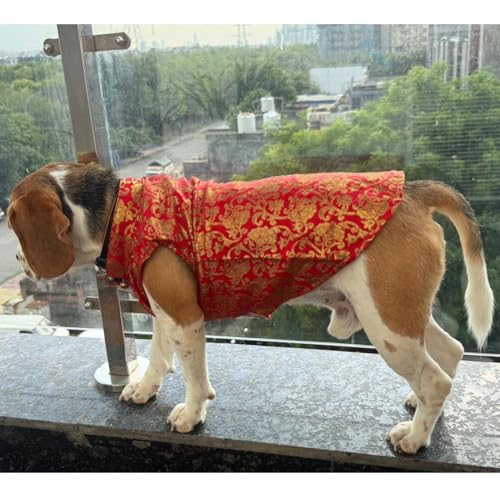 Lulala Traditional Dog Sherwani for Wedding & Festivals, Ethnic Indian Outfit for Pets, Designer Pet Costume with Embroidery & Velcro Closure, Small to Large Dogs (Red 12 Inch)