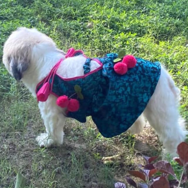 Lulala Dog Dress for Girl Dogs – Black Ethnic Frock with Tie-Up | Stylish Indian Pet Outfit for Small, Medium & Larg Dogs | Lightweight Dog Clothes